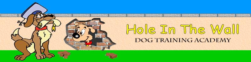 Hole in the Wall Dog Training