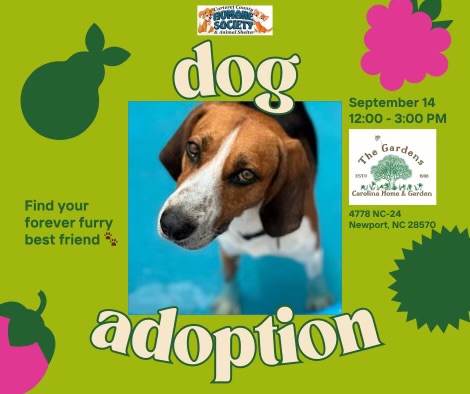 Carteret County Humane Society Adopt-A-Thon